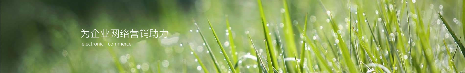 ൺ·ҾӼ޹˾